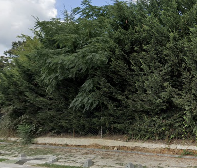 Karacaköy Merkez Mezarlığı
