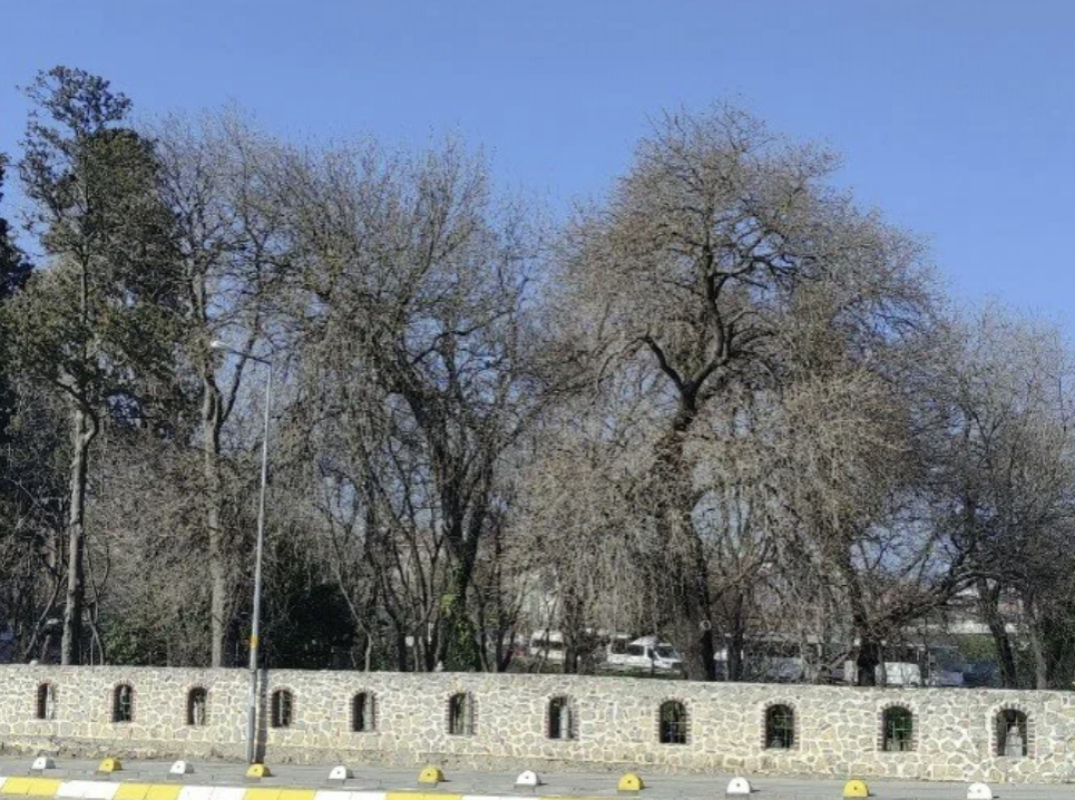 Mahmutbaba Mezarlığı